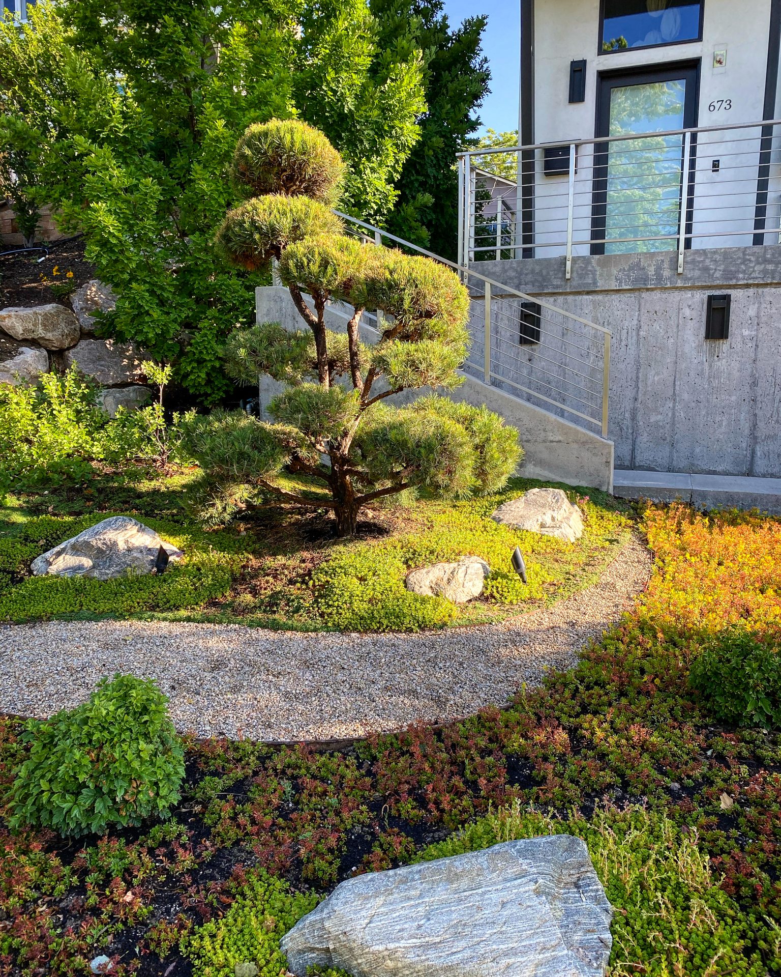 Modern garden with staircase and bonsai tree.