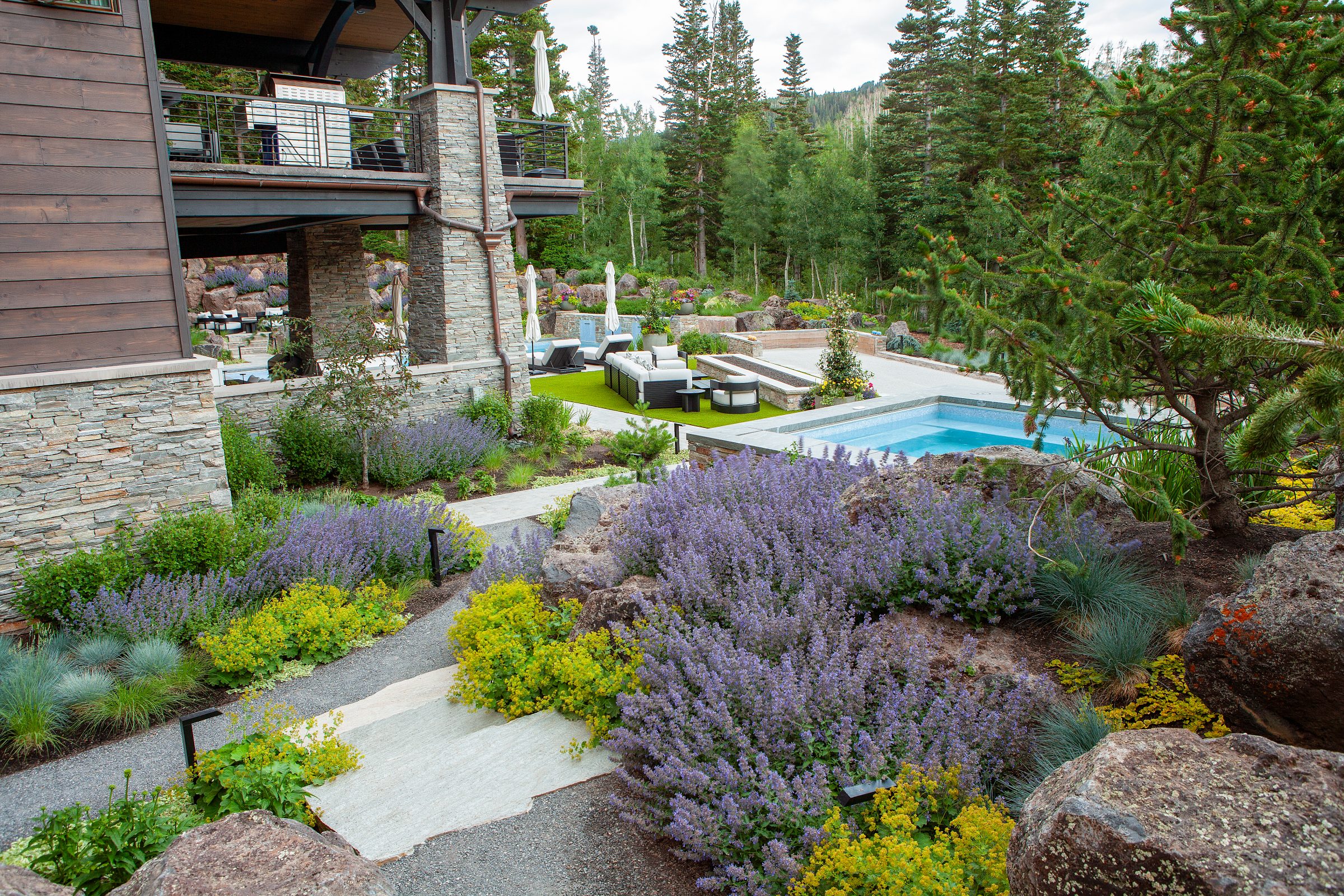 Backyard garden with lavender and pool