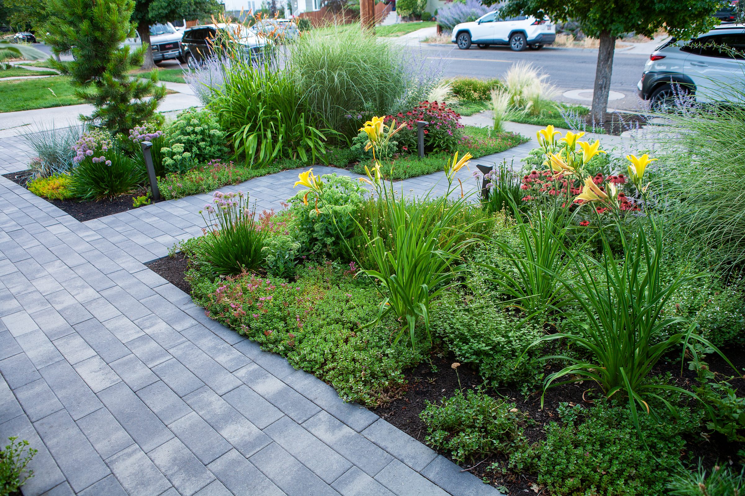 Colorful garden with paved pathways and yellow flowers.