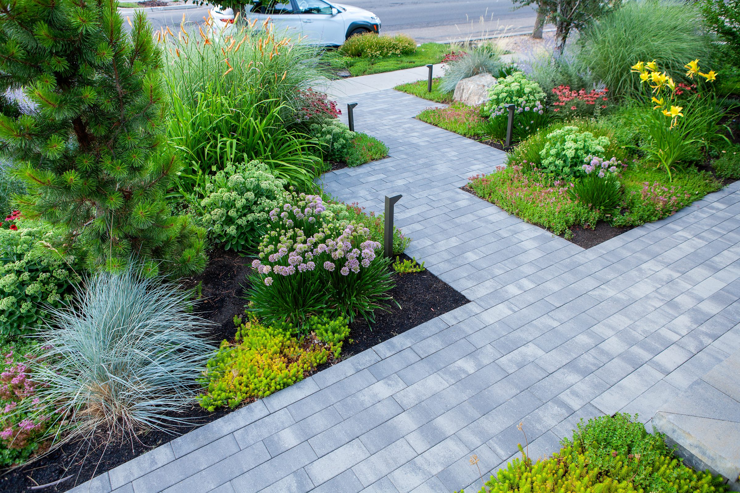 Lush garden landscape with paved walkway