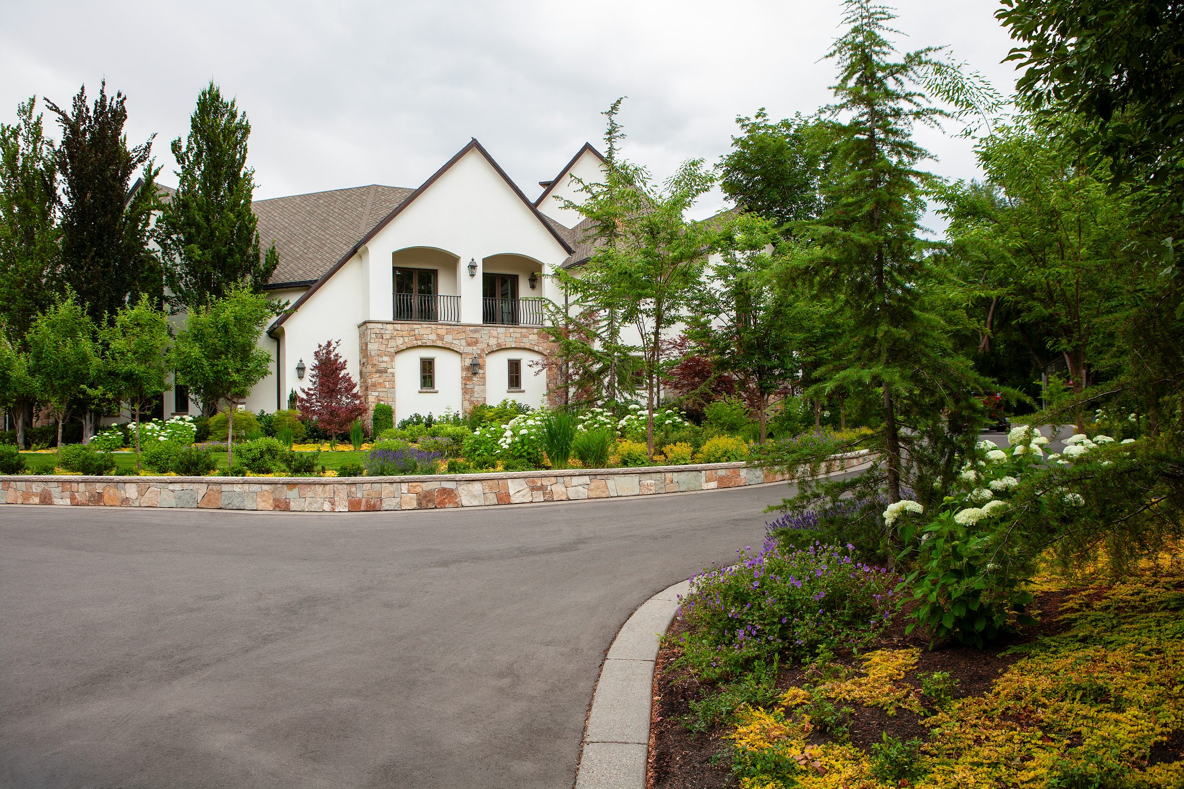 Beautiful house with lush garden and driveway