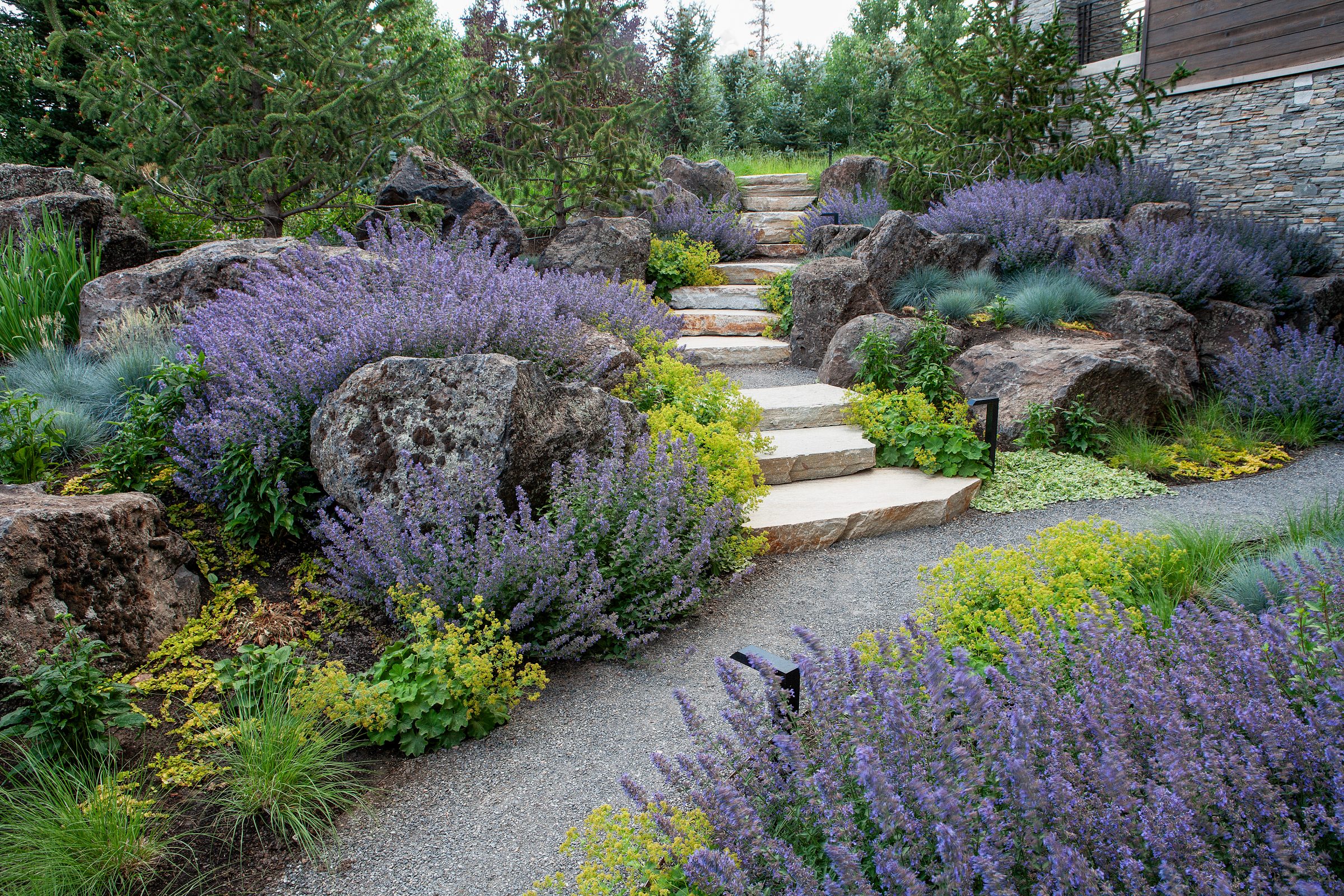 Beautiful stone pathway through a lush garden.