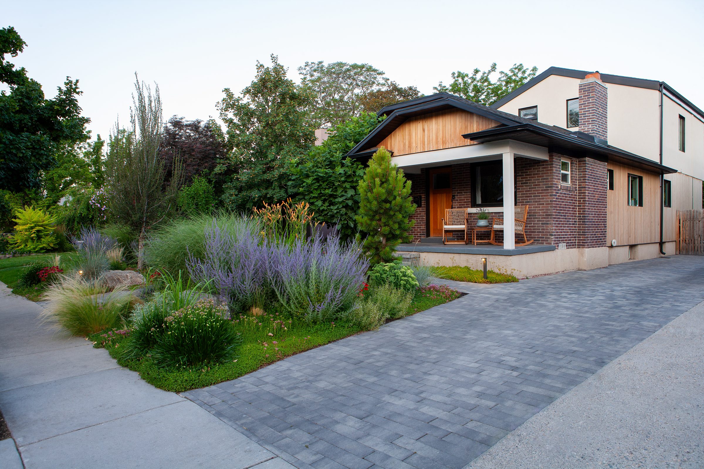 Modern house with landscaped garden and driveway