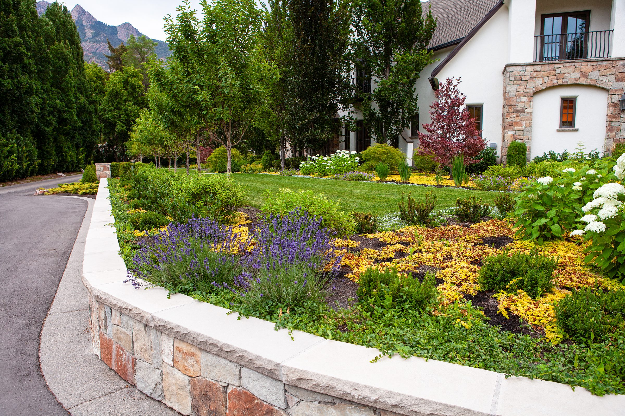 Beautiful landscaped garden by a suburban house