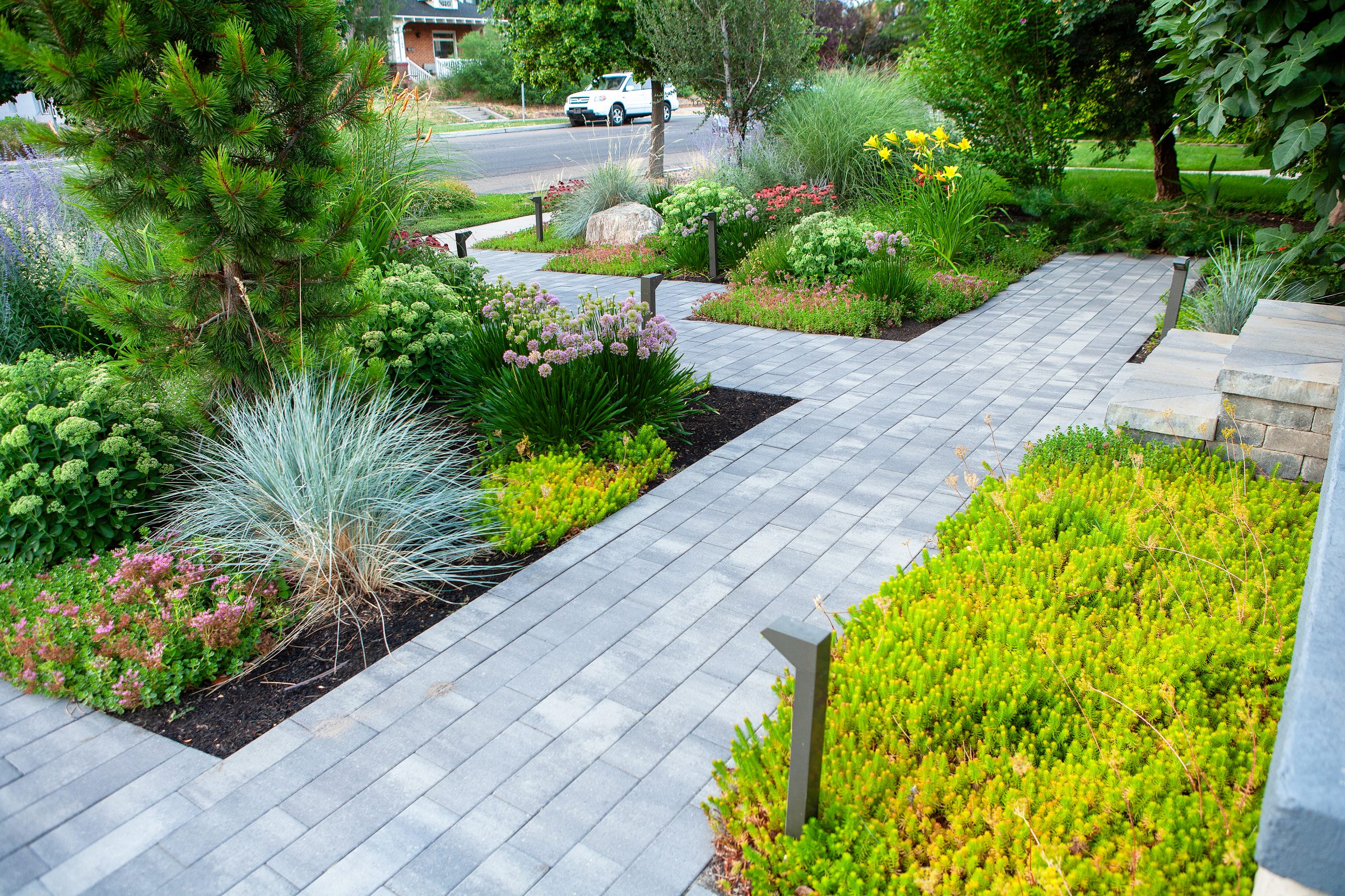 Lush garden with stone pathway and shrubs