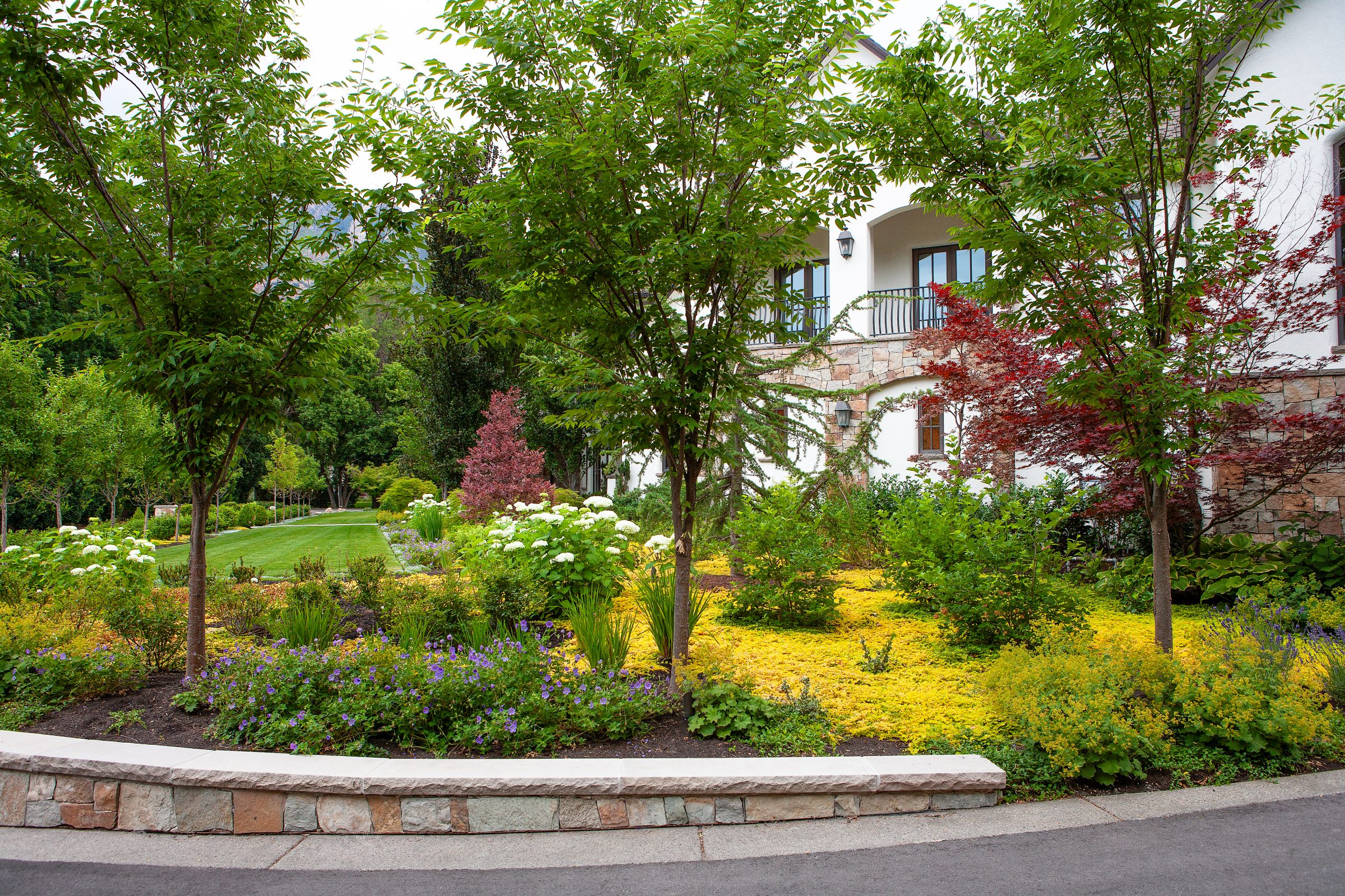 Beautiful garden with trees and colorful flowers.