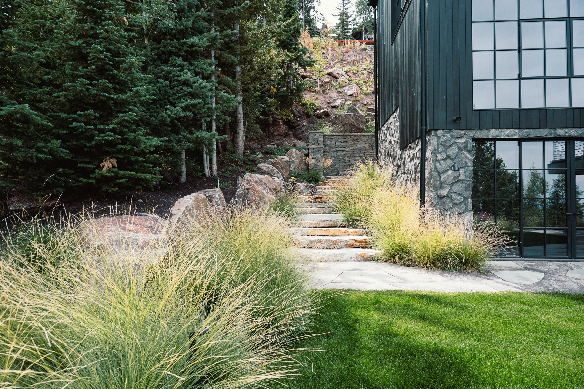 Stone steps and grasses beside modern house