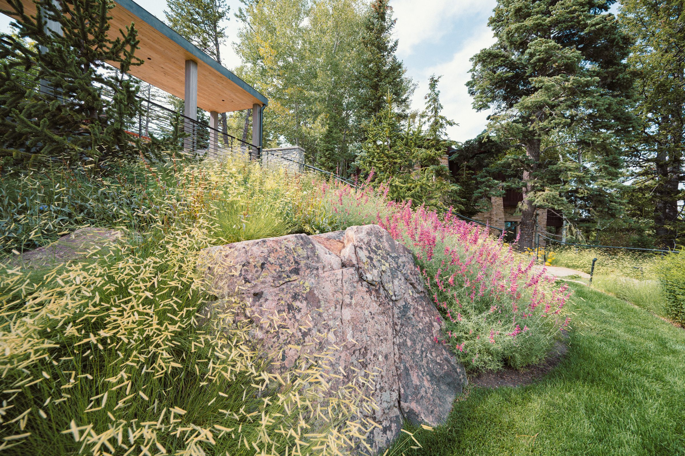 Lush garden with wildflowers and rocks.