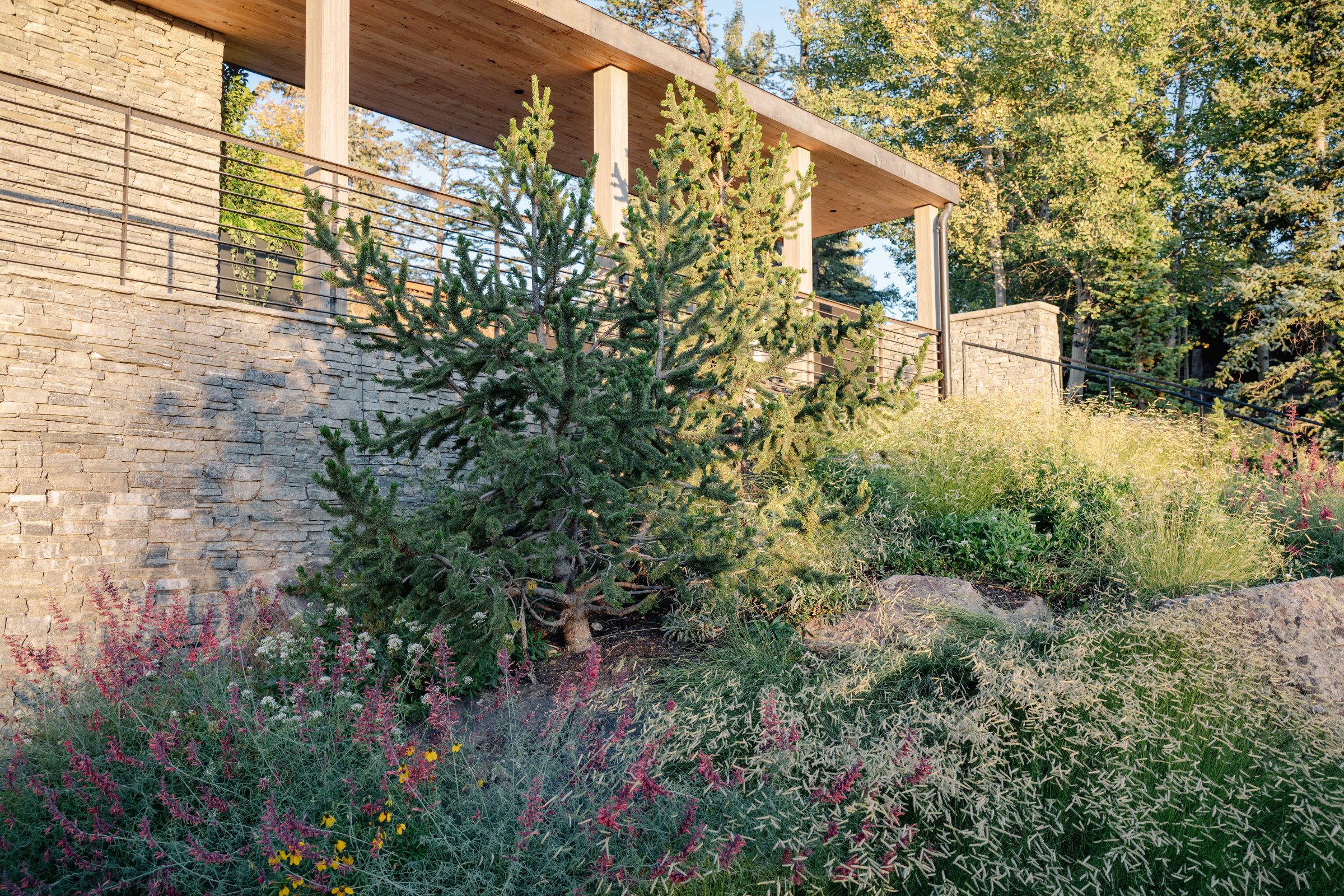 Garden with stone wall and evergreen trees
