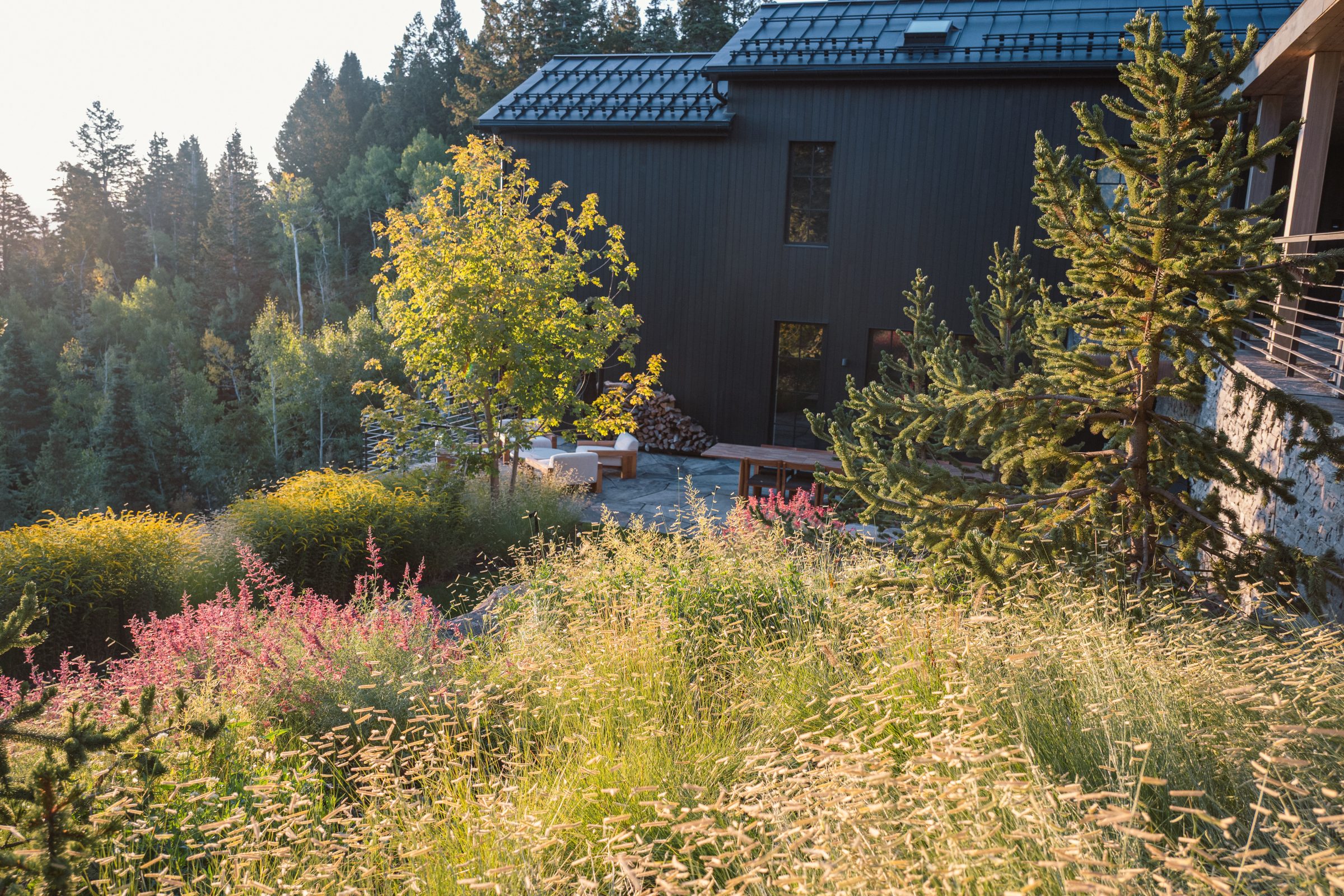 Modern house surrounded by lush greenery and trees.