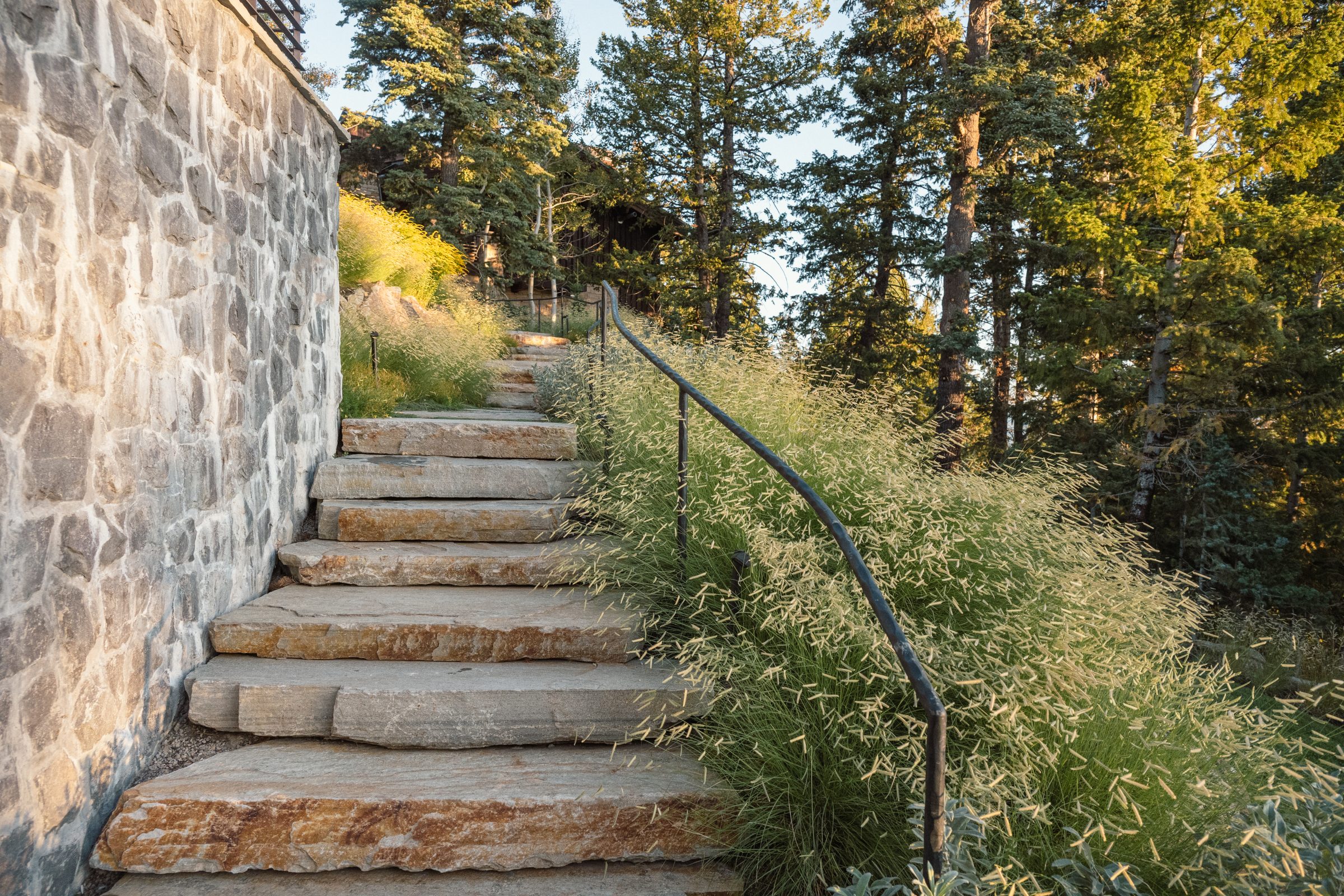 Stone stairs with railing and foliage