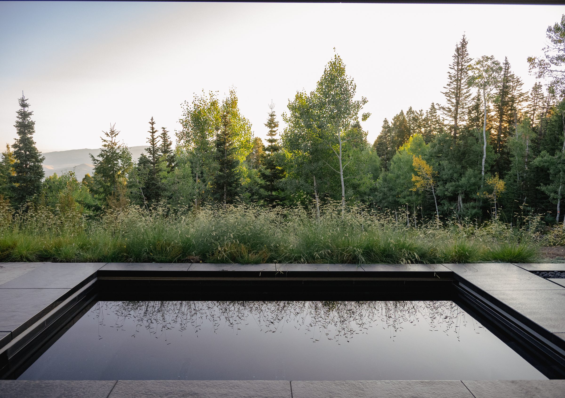 Reflection pool with trees and sunrise view.