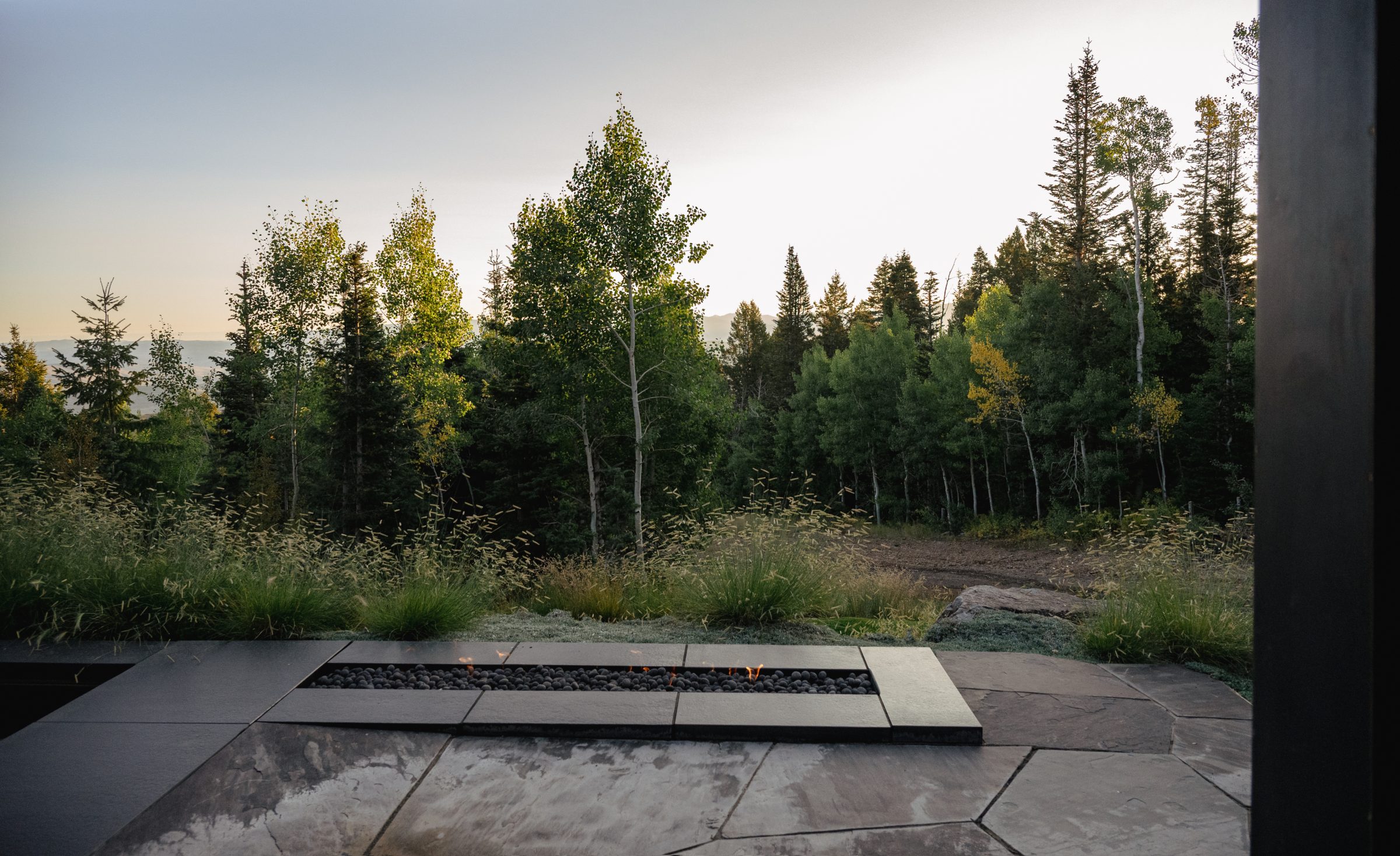 Forest view with patio and fire pit.