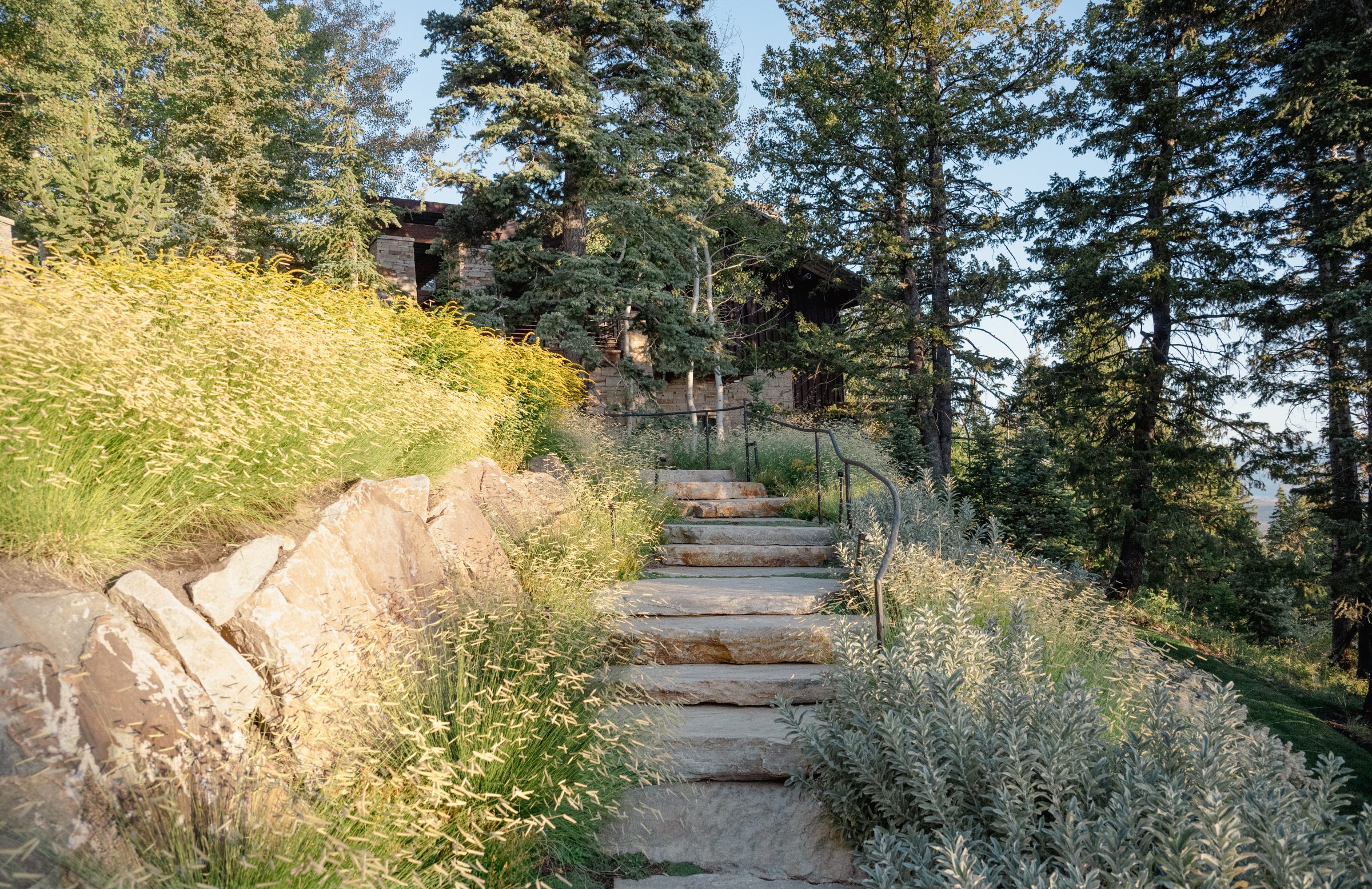 Stone steps lead to forest cabin entrance.