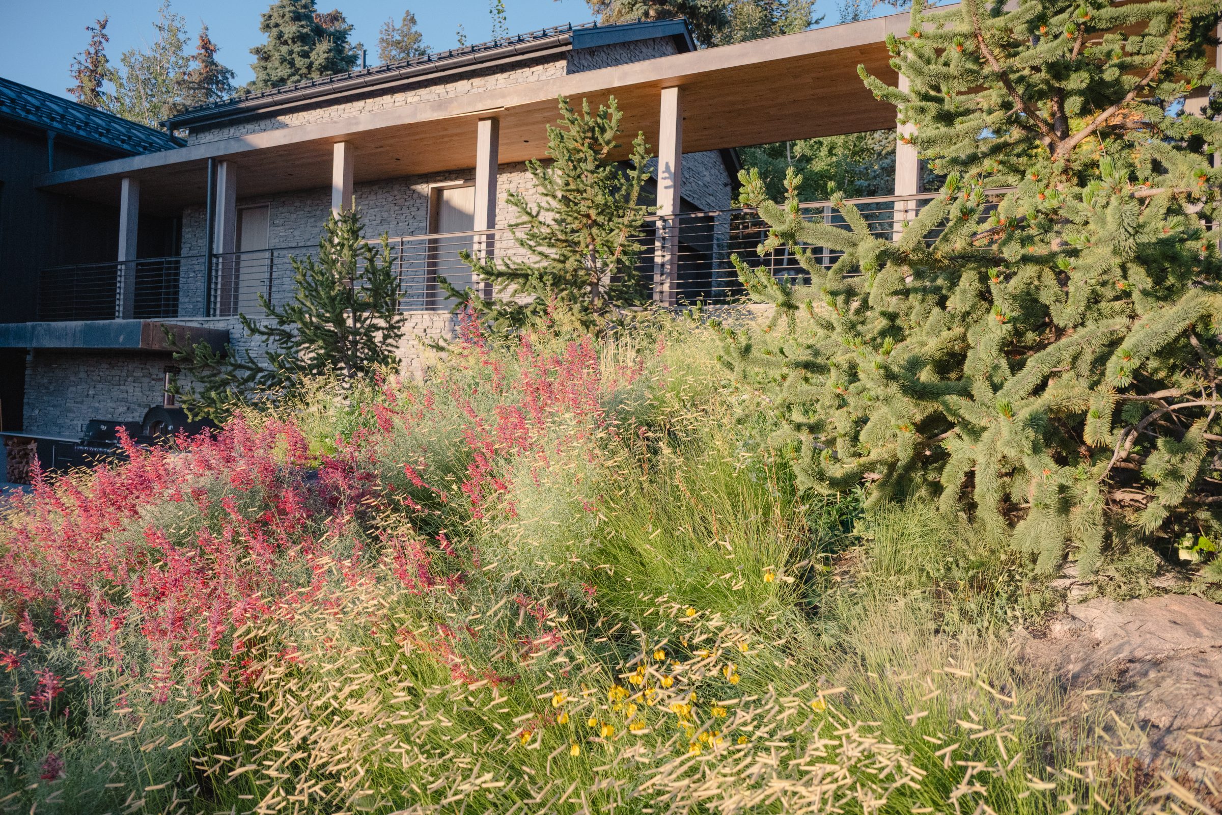 House with lush garden landscape and evergreen trees.
