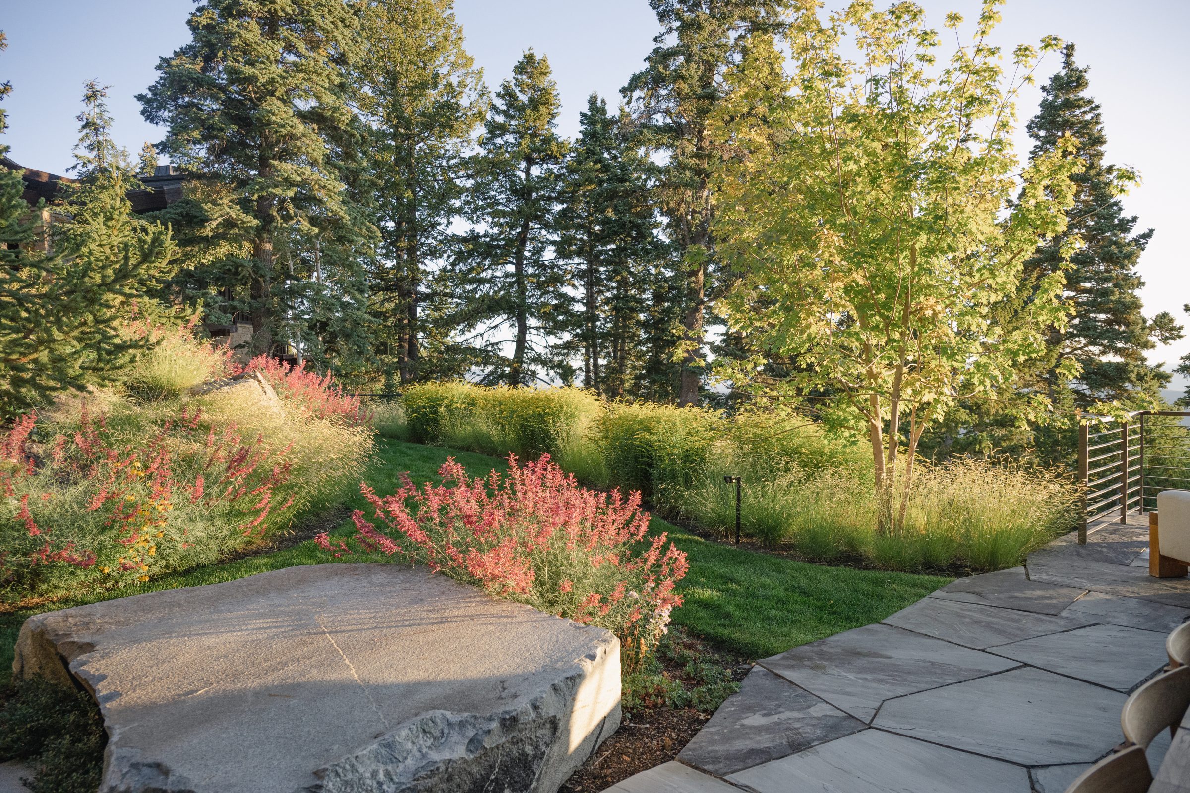 Peaceful garden with trees and stone pathway