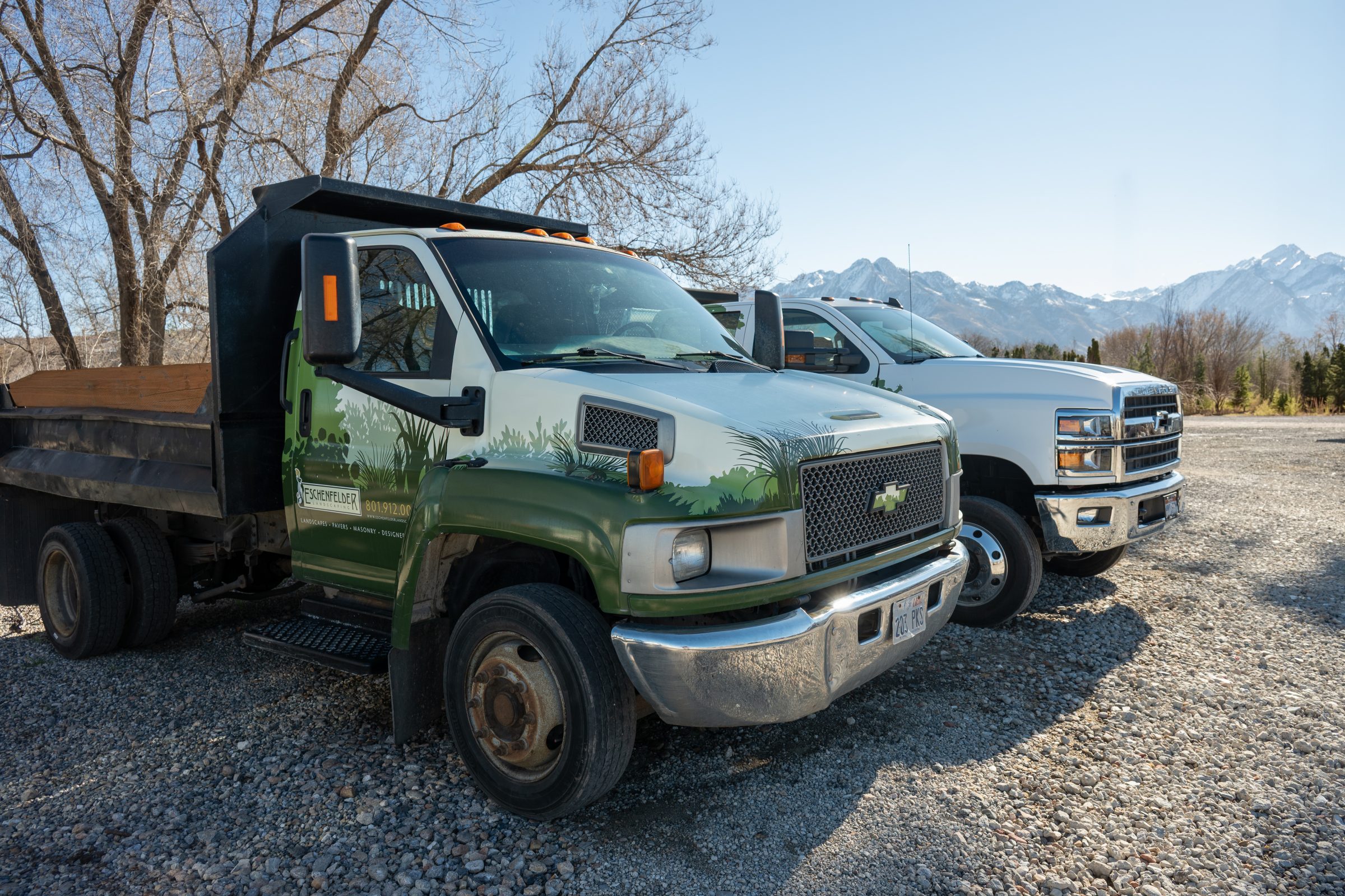 Two parked trucks with mountain view.
