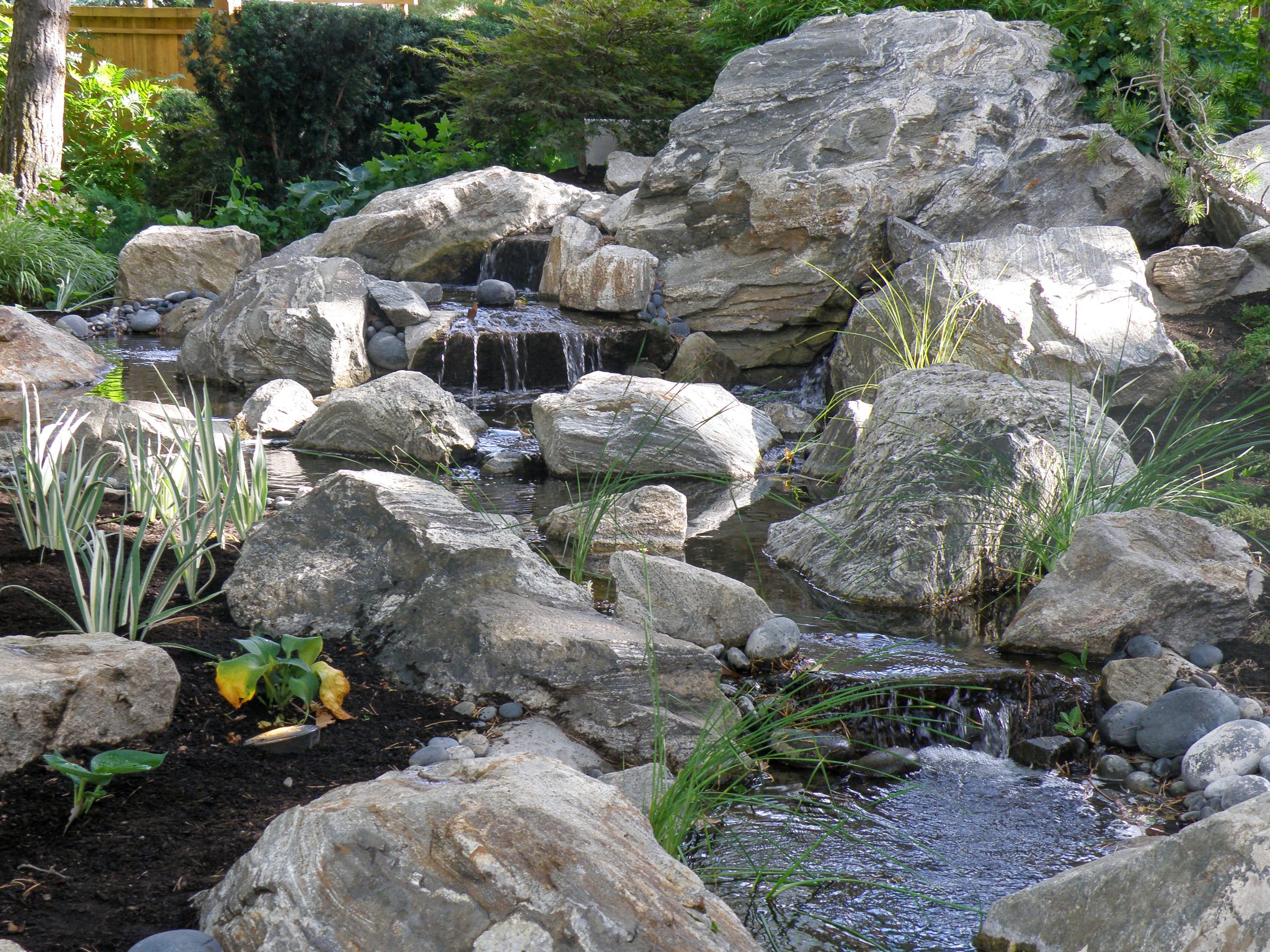 Rocky garden pond with small waterfall and plants.