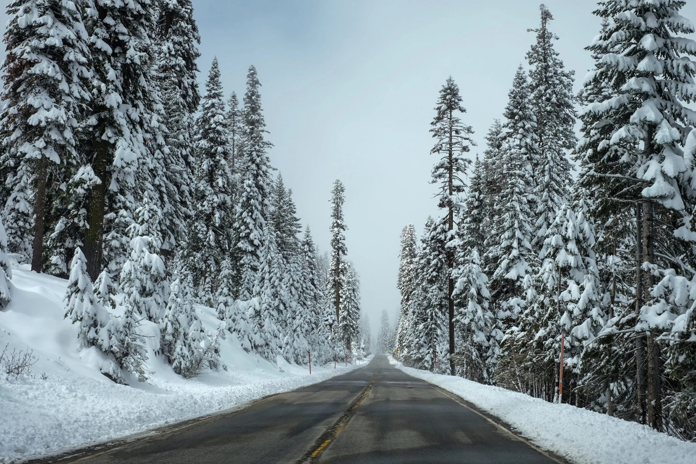 Snowy road through forested winter landscape