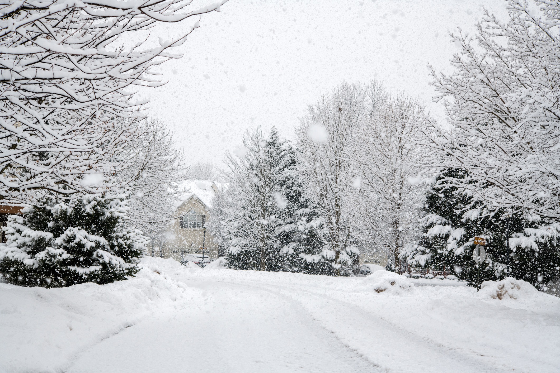 Snow-covered street with falling snowflakes.