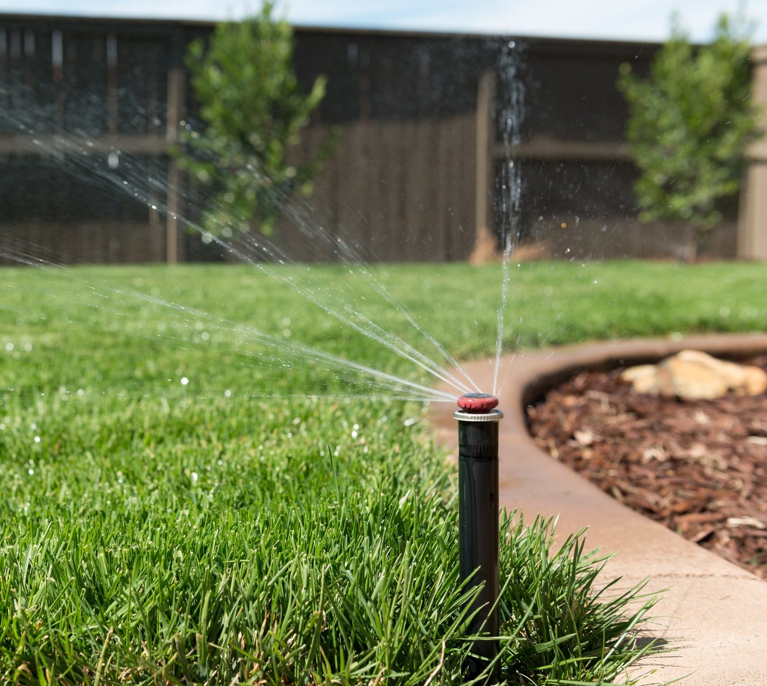 Lawn sprinkler watering green grass yard